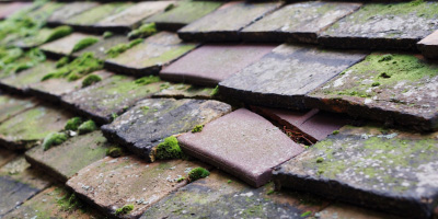 Belle Vale roof repair costs